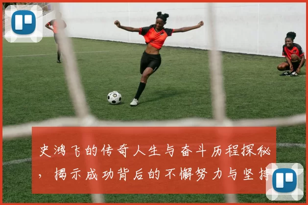 史鸿飞的传奇人生与奋斗历程探秘，揭示成功背后的不懈努力与坚持