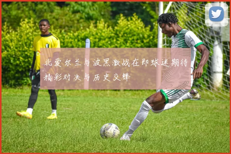 北爱尔兰与波黑激战在即球迷期待精彩对决与历史交锋