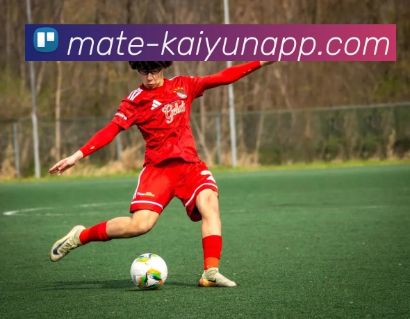 开云平台生态图